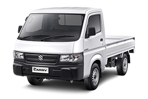 Suzuki Carry